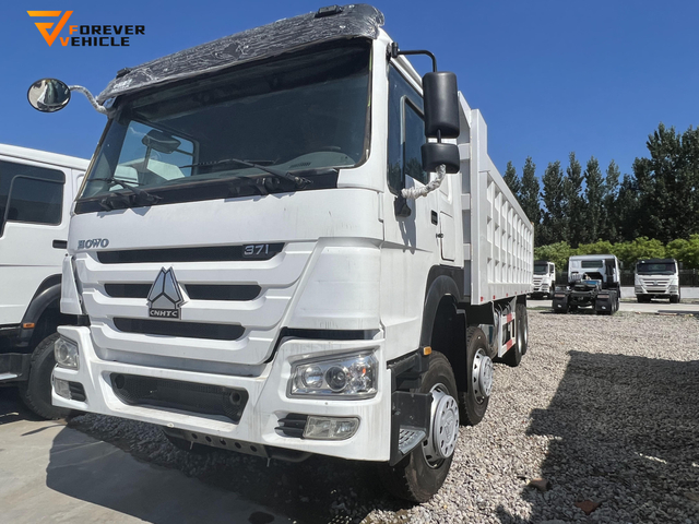 Safe and Efficient Low Fuel Consumption Stable Operation Used Dump Truck for Sale